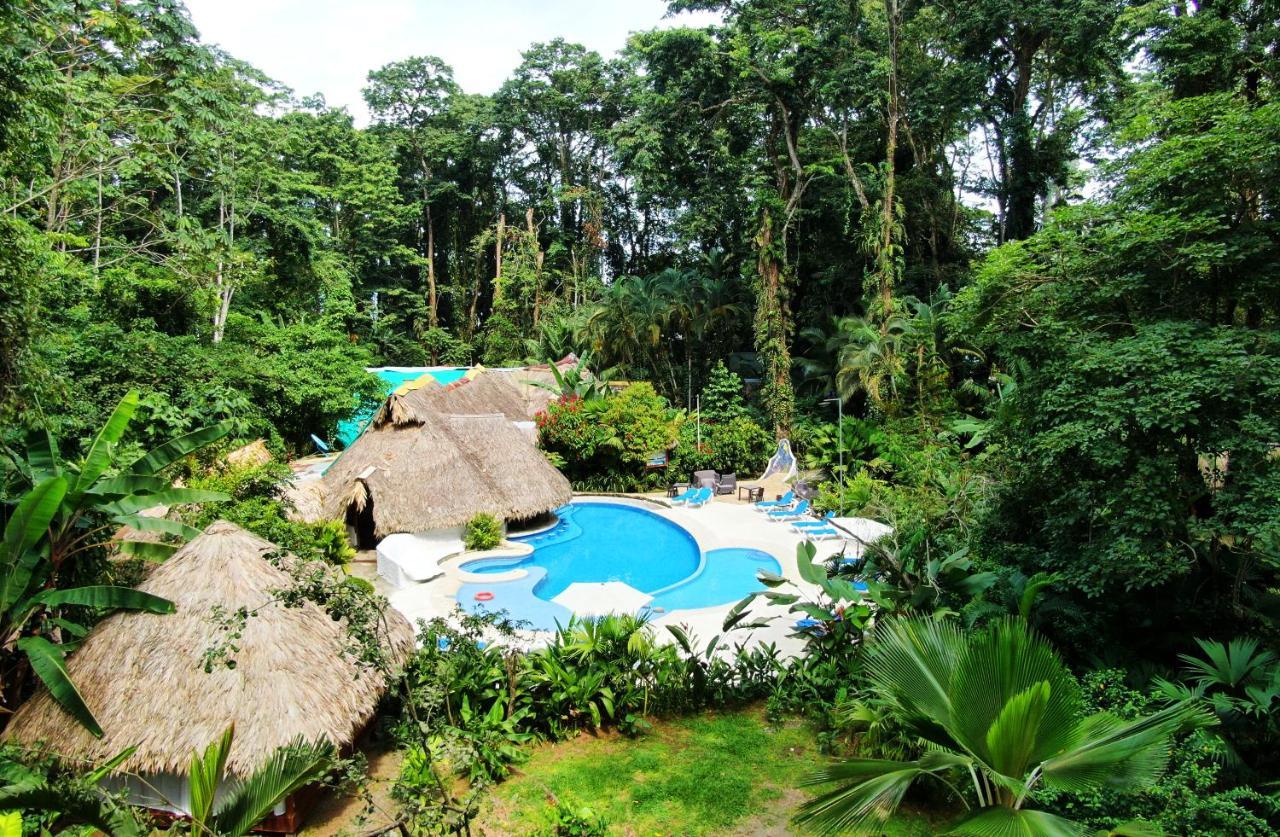 Cariblue Beach And Jungle Resort Puerto Viejo de Talamanca Zewnętrze zdjęcie