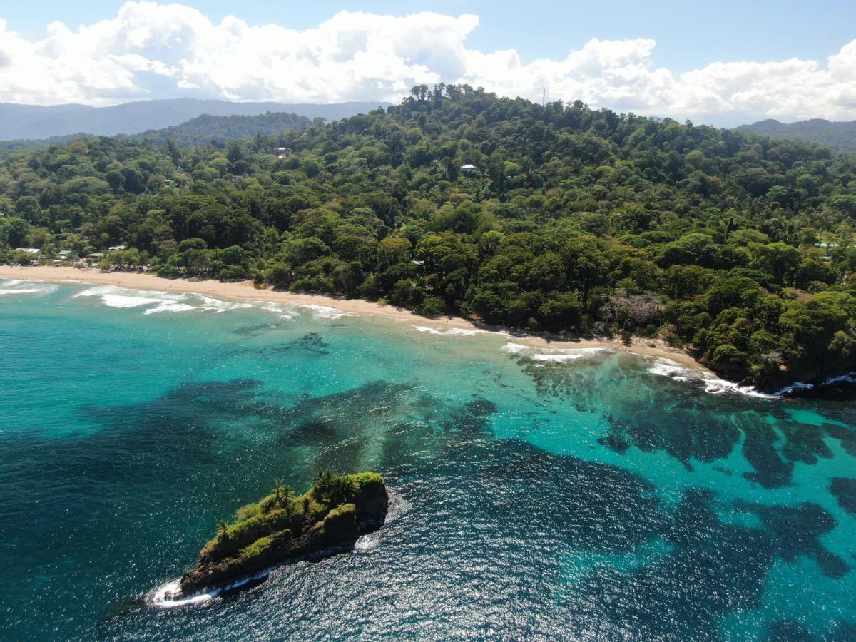 Cariblue Beach And Jungle Resort Puerto Viejo de Talamanca Zewnętrze zdjęcie