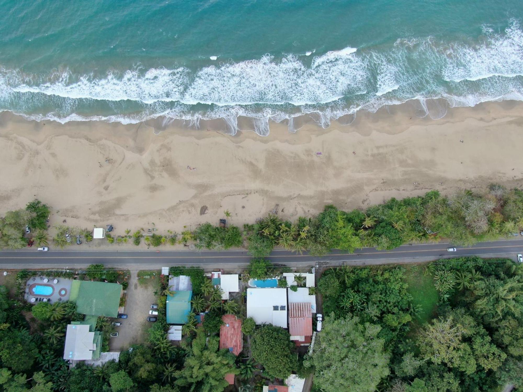 Cariblue Beach And Jungle Resort Puerto Viejo de Talamanca Pokój zdjęcie