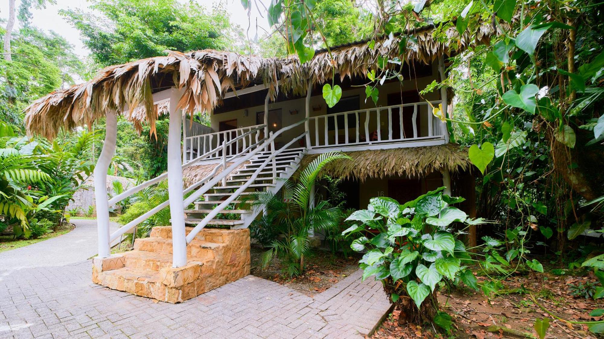 Cariblue Beach And Jungle Resort Puerto Viejo de Talamanca Pokój zdjęcie