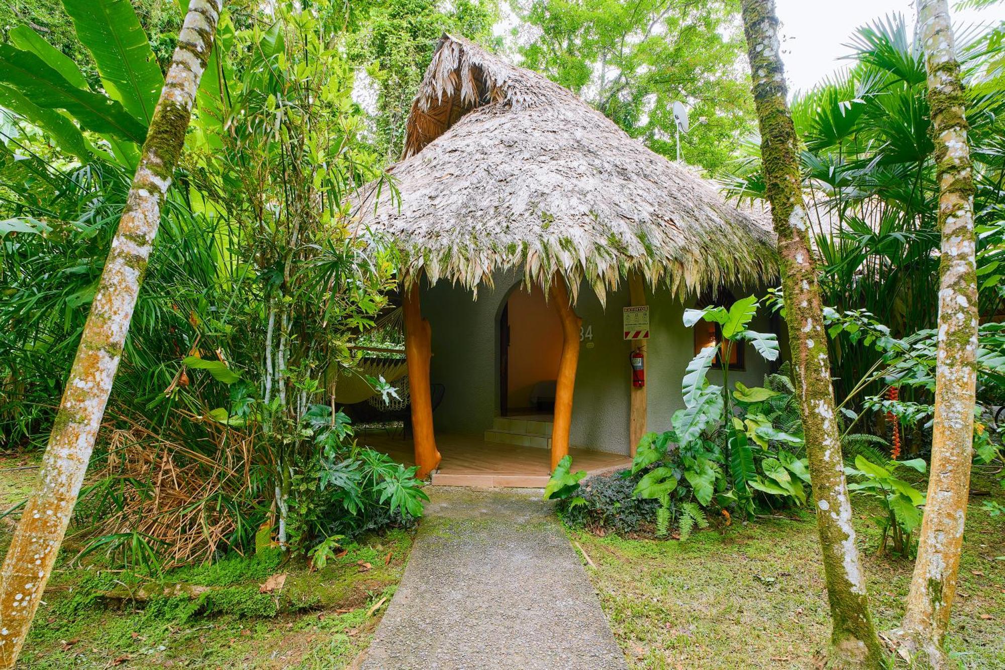 Cariblue Beach And Jungle Resort Puerto Viejo de Talamanca Pokój zdjęcie